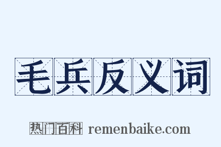毛兵反义词是什么意思的图片
